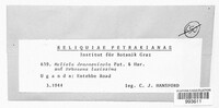 Image Associated With the Occurence